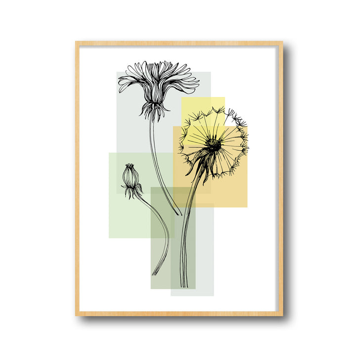 botanic-bloom-c