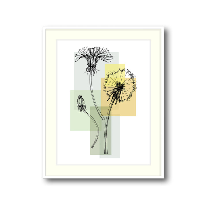 botanic-bloom-c