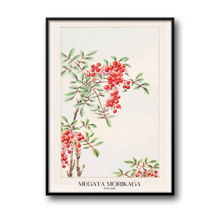 nandina-bush-with-berries-megata-morikaga