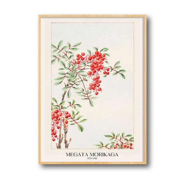 nandina-bush-with-berries-megata-morikaga