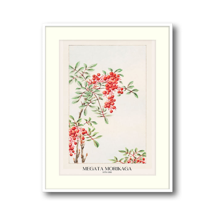 nandina-bush-with-berries-megata-morikaga