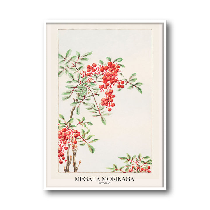 nandina-bush-with-berries-megata-morikaga
