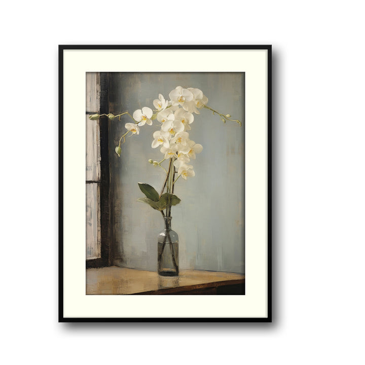 orchids
