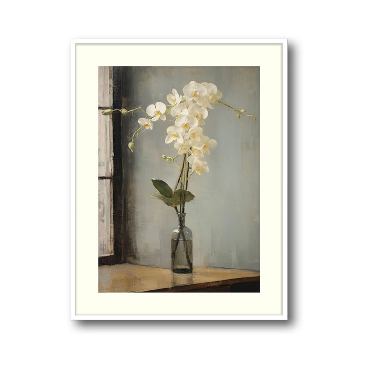 orchids