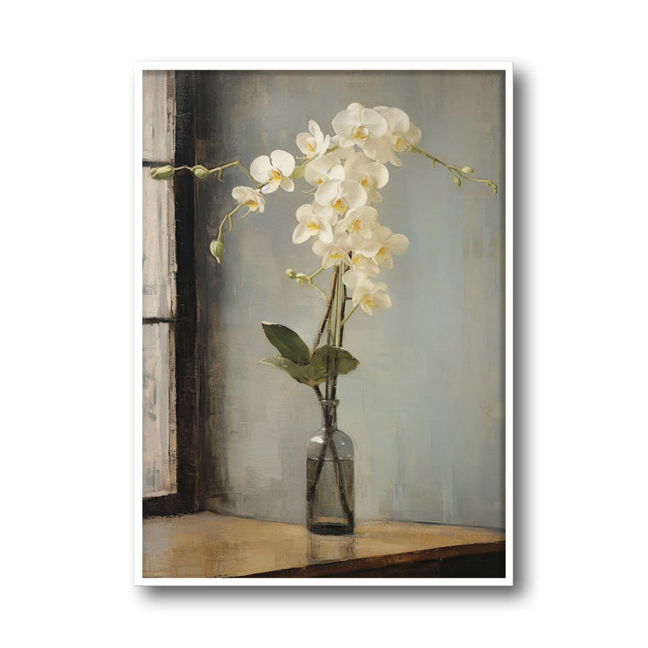 orchids