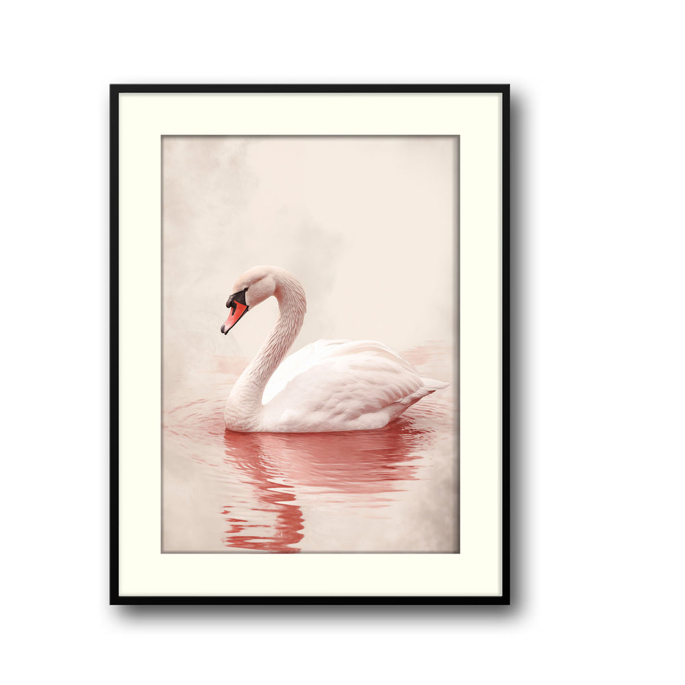 pink-swan