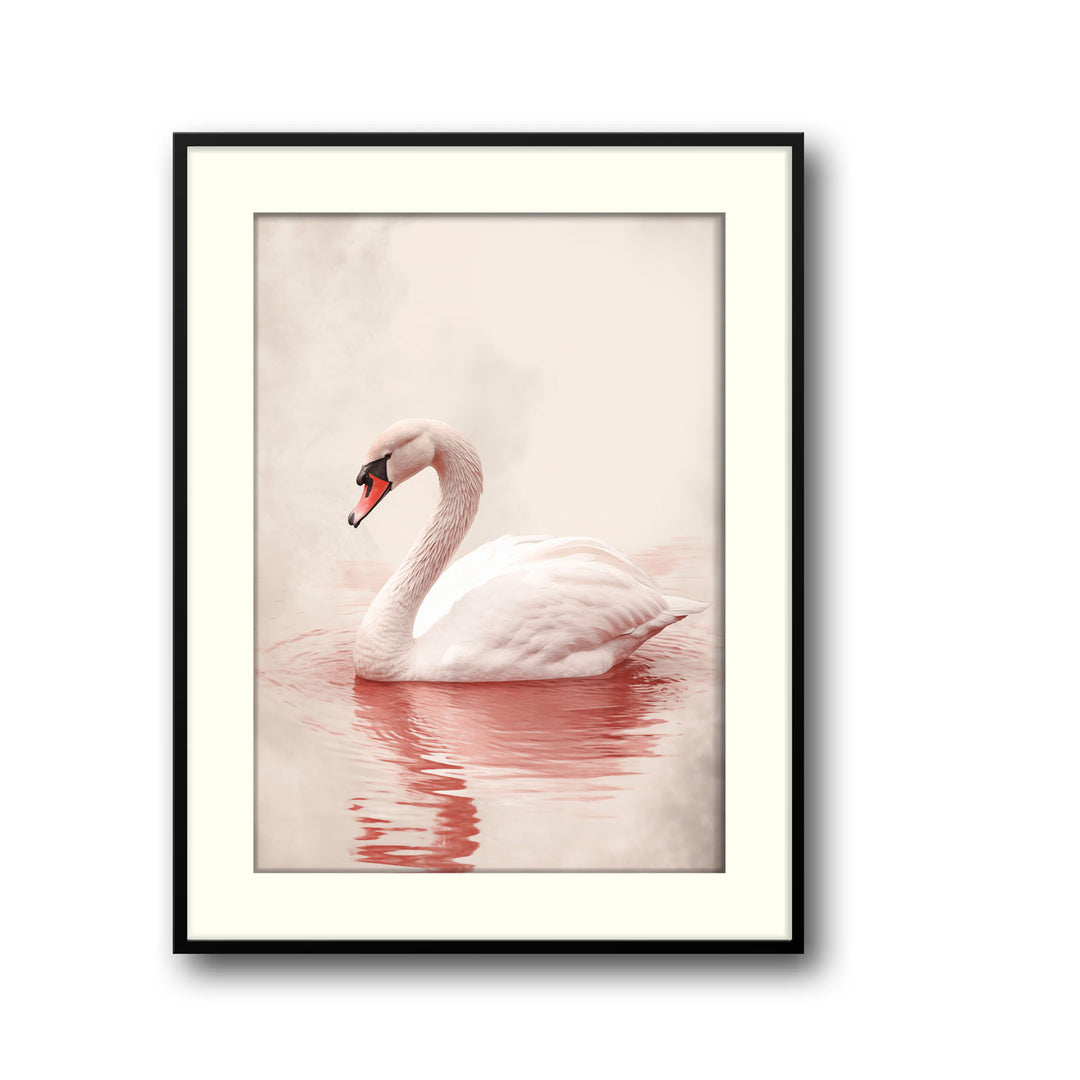 pink-swan