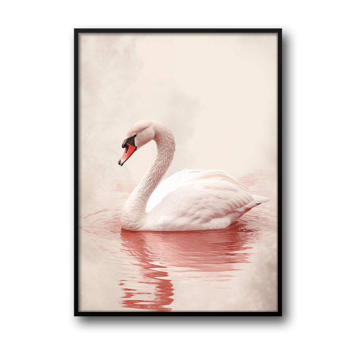 pink-swan
