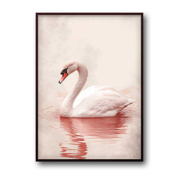 pink-swan