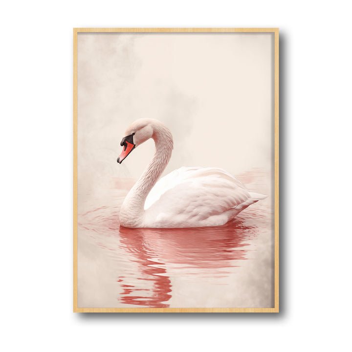 pink-swan