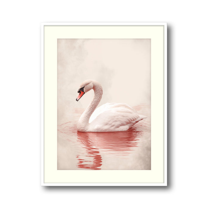 pink-swan