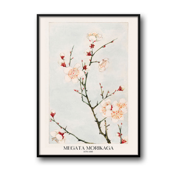 plum-branches-megata-morikaga