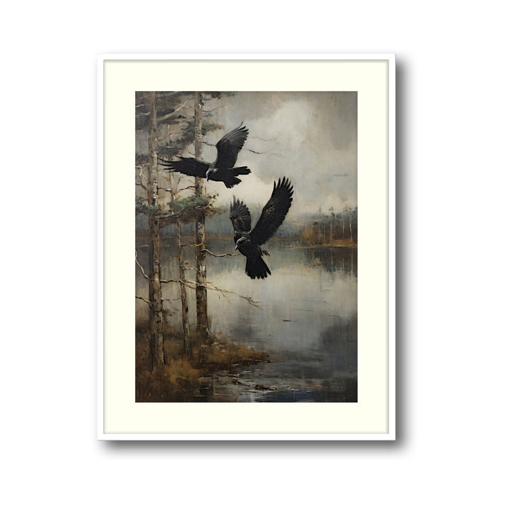 ravens