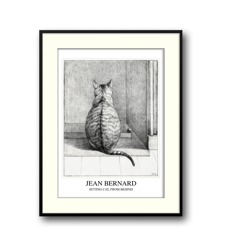 sitting-cat-seen-from-behind-jean-bernard