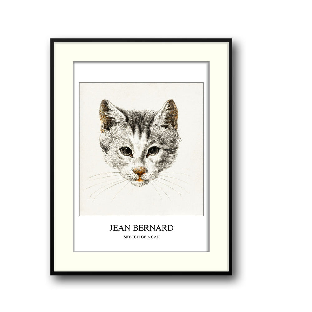 sketch-of-a-cat-jean-bernard