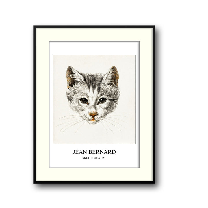 sketch-of-a-cat-jean-bernard