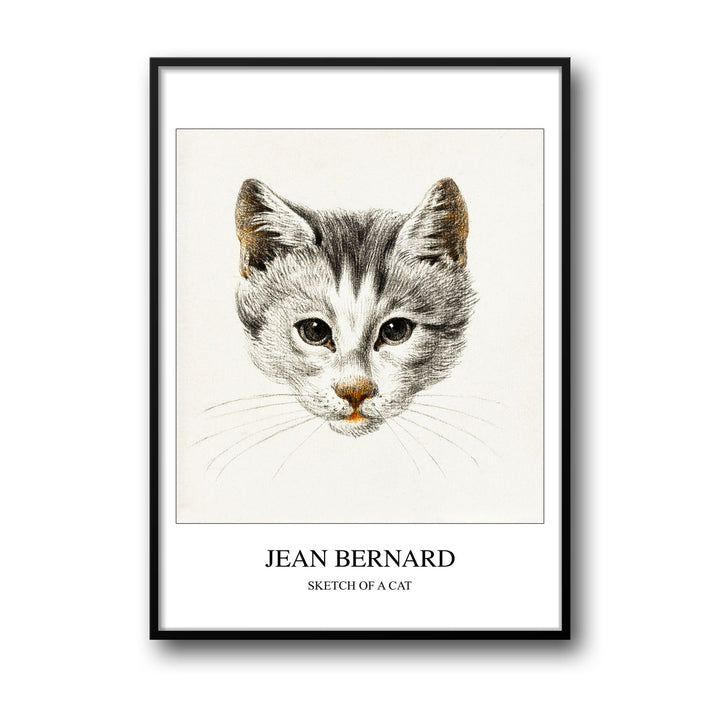 sketch-of-a-cat-jean-bernard