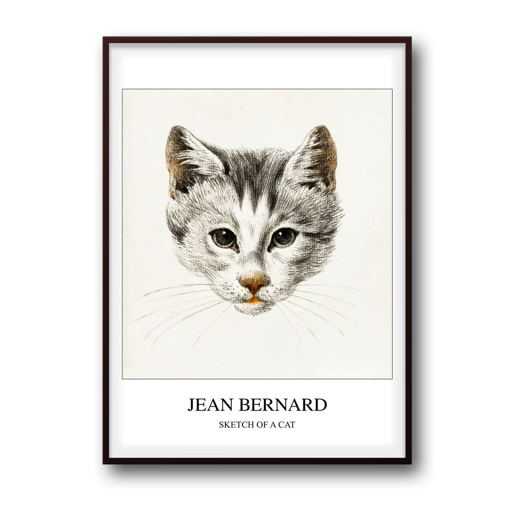 sketch-of-a-cat-jean-bernard