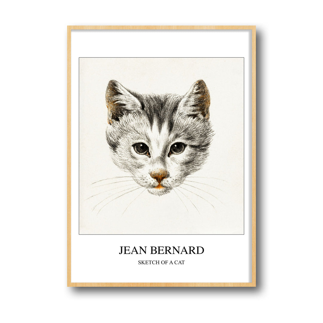 sketch-of-a-cat-jean-bernard