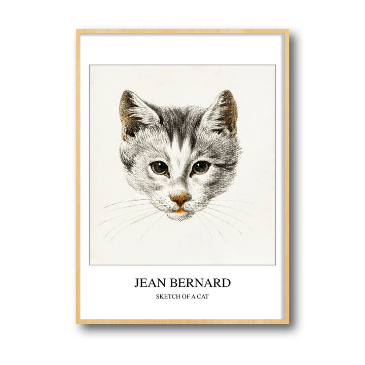 sketch-of-a-cat-jean-bernard