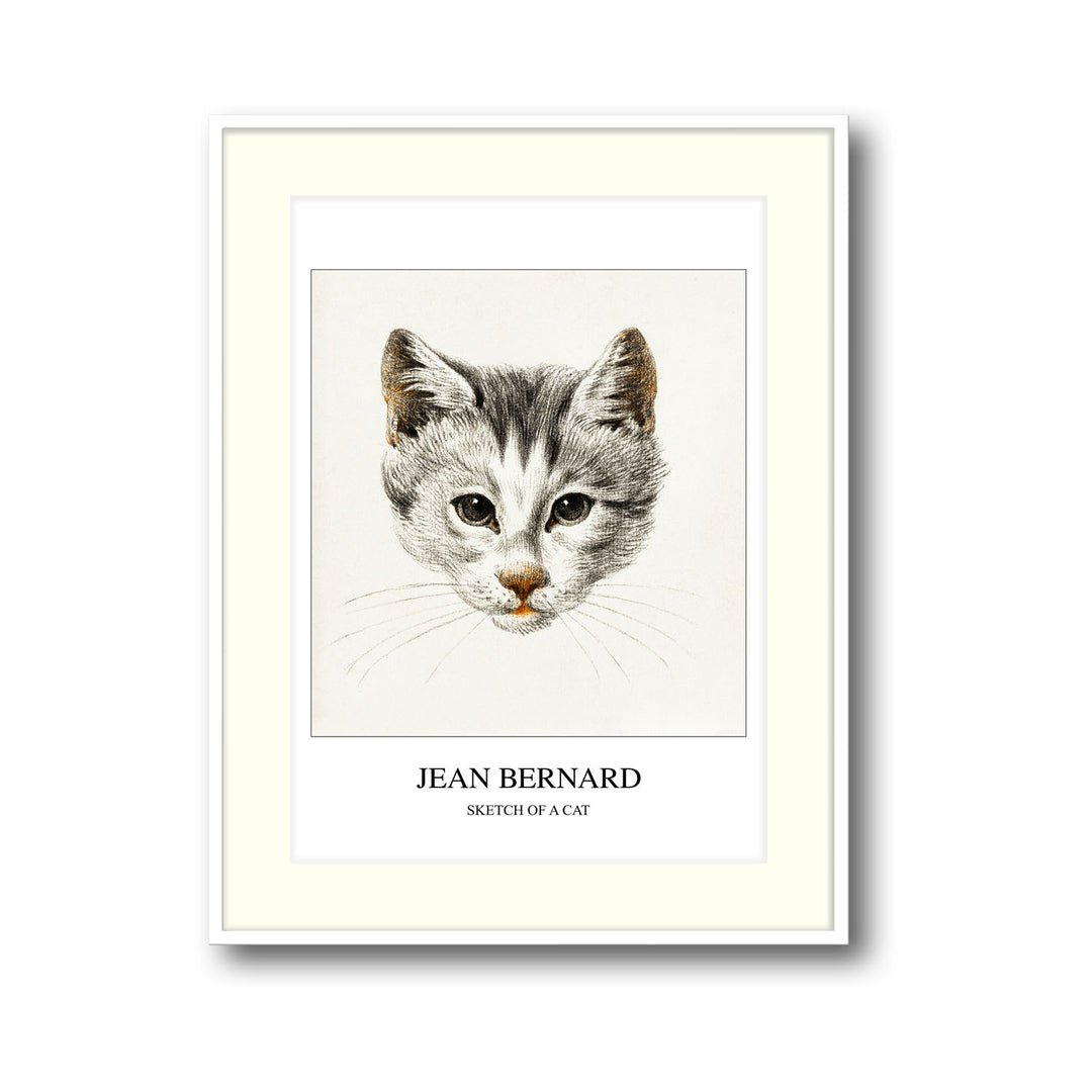 sketch-of-a-cat-jean-bernard