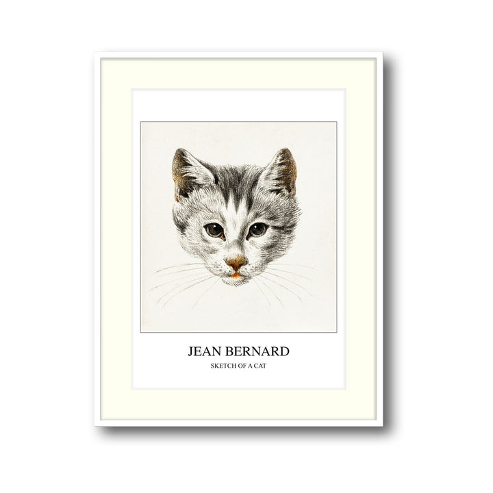 sketch-of-a-cat-jean-bernard