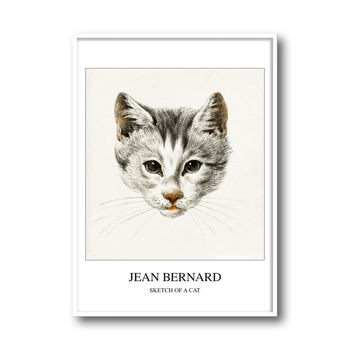 sketch-of-a-cat-jean-bernard