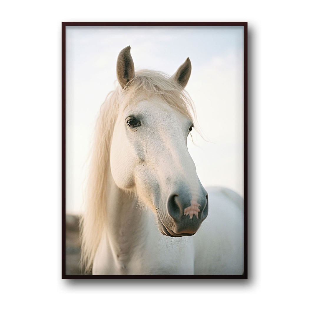 white-horse