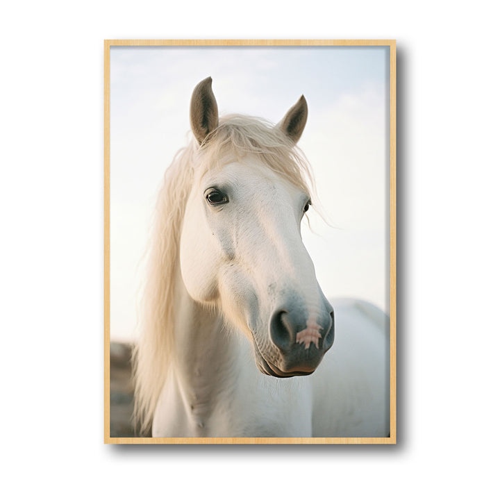 white-horse