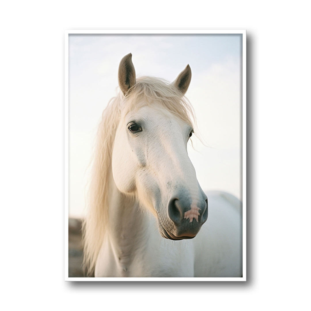 white-horse