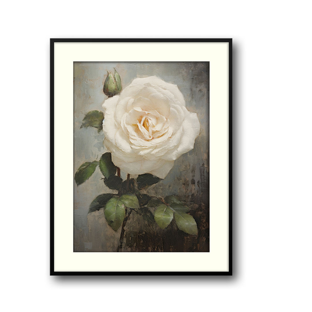 white-rose