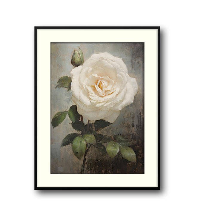 white-rose