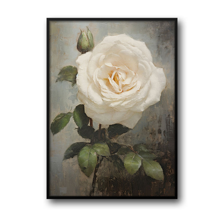white-rose