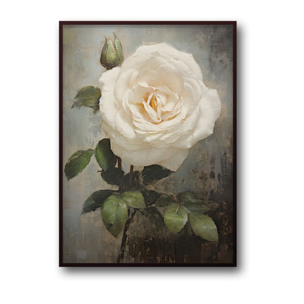 white-rose
