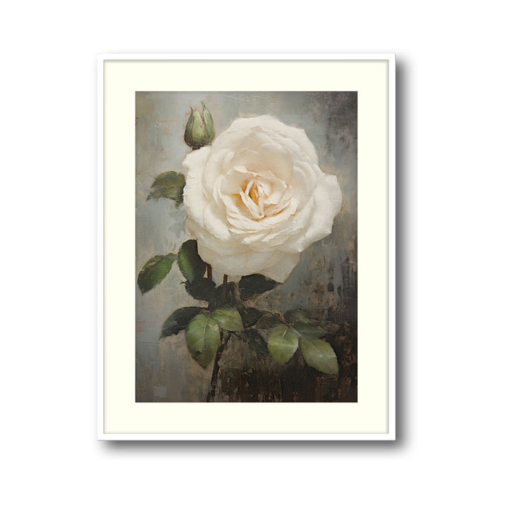 white-rose