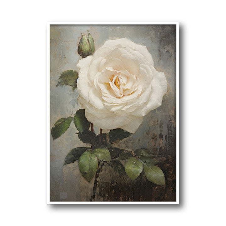 white-rose