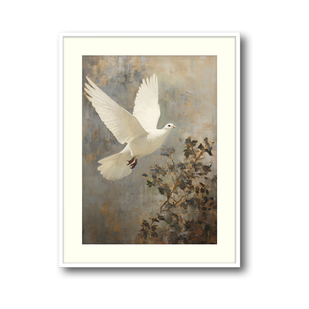 winged-dove