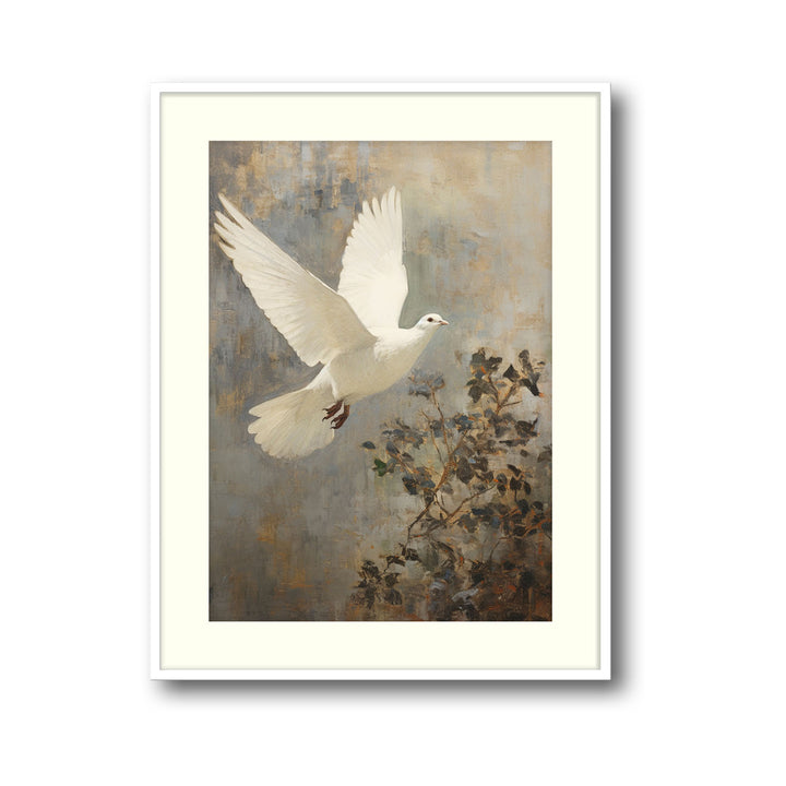 winged-dove