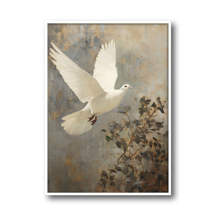 winged-dove